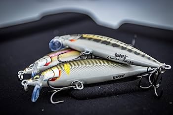Amazon | ラパラ(Rapala) カウントダウン エリート 3.5cm CDE35-GDAY