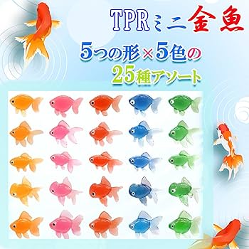 71gBX6thFpL._AC_UF350,