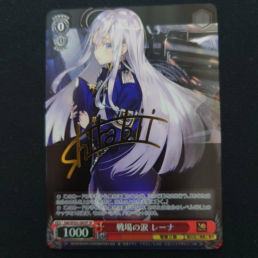 ヴァイスシュヴァルツ レーゲンスブルク sp サイン PSA10 ヴァイス