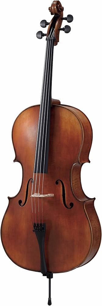 希少品】carlo giordano 4/4 sc-160 チェロ 希少品】carlo giordano 4