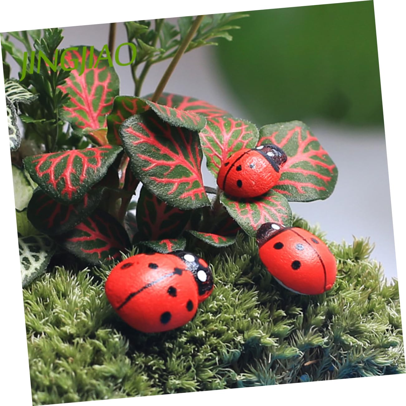 Amazon.co.jp: ノーブランド品 300個 昆虫模型 多肉植物装飾