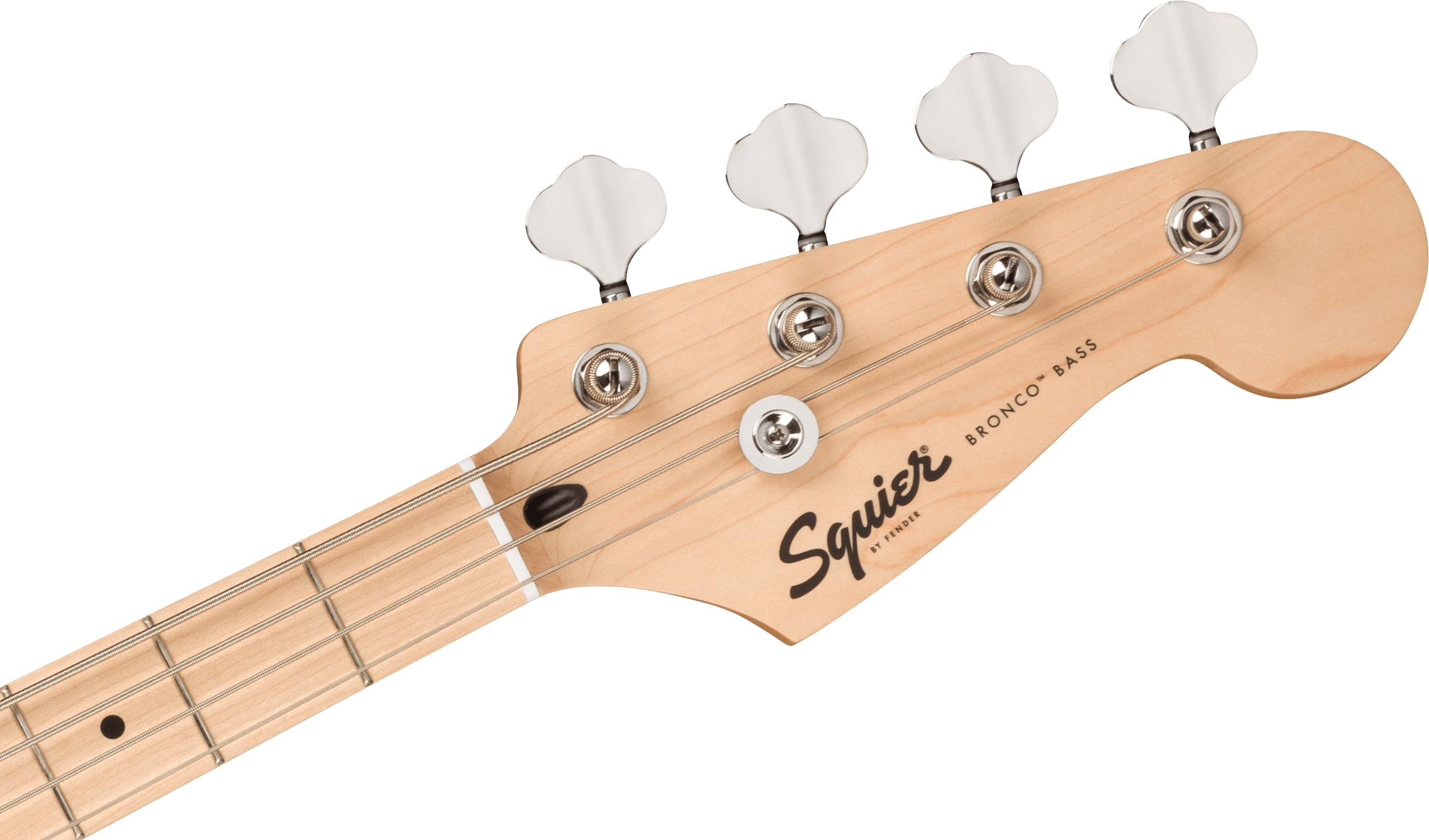 Amazon.co.jp: Squier by Fender スクワイヤー エレキベース Squier