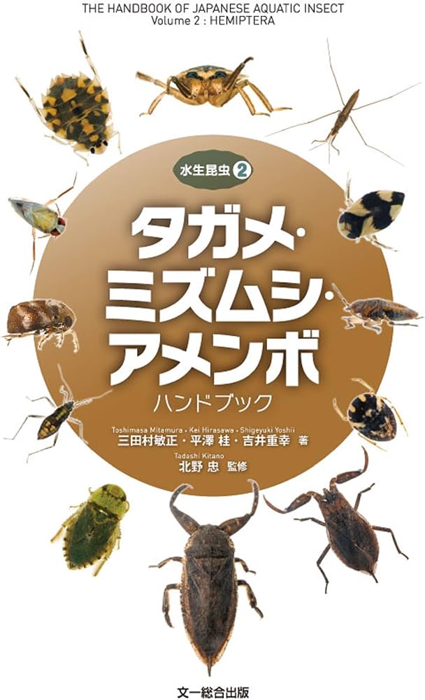 Amazon.com: タガメ・ミズムシ・アメンボ ハンドブック (水生昆虫2