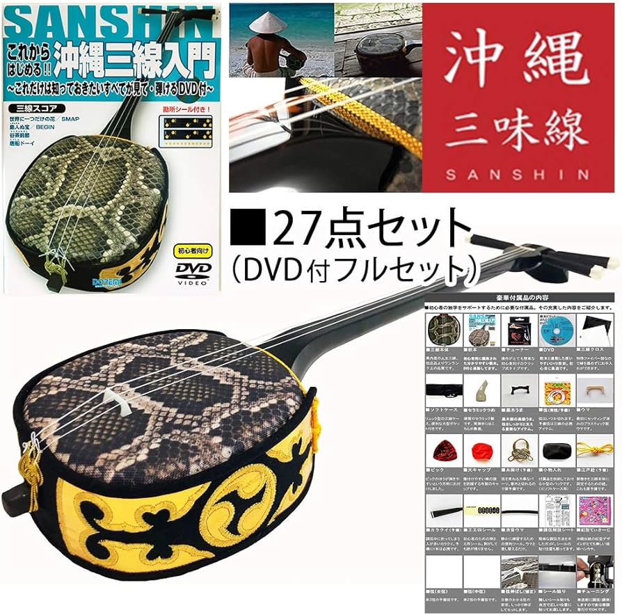 沖縄三線 ハードケース付 爪 予備弦 付属 和楽器 沖縄三線 ハードケース付