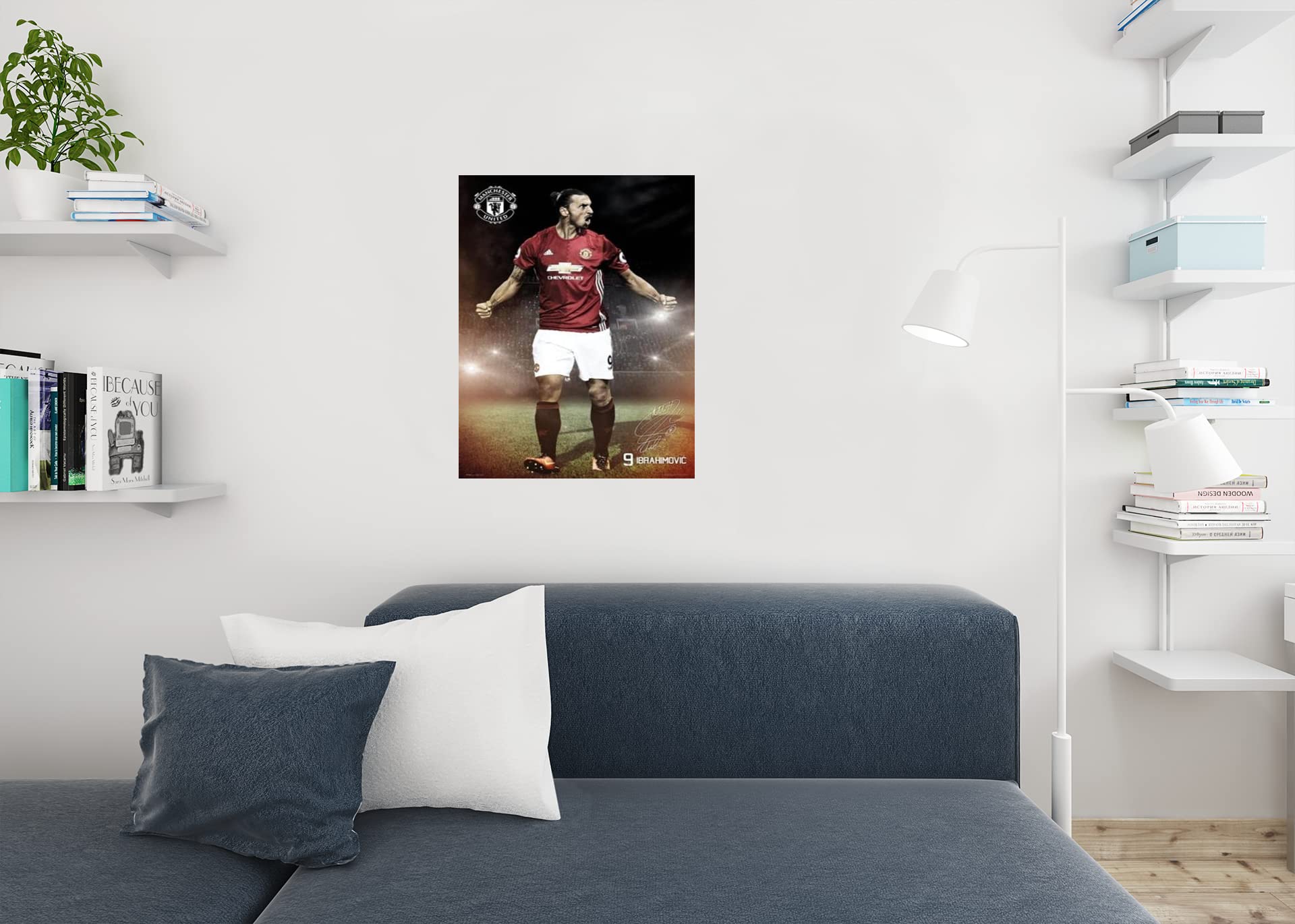 Amazon.co.jp: Manchester United(マンチェスターユナイテッド) 16-17