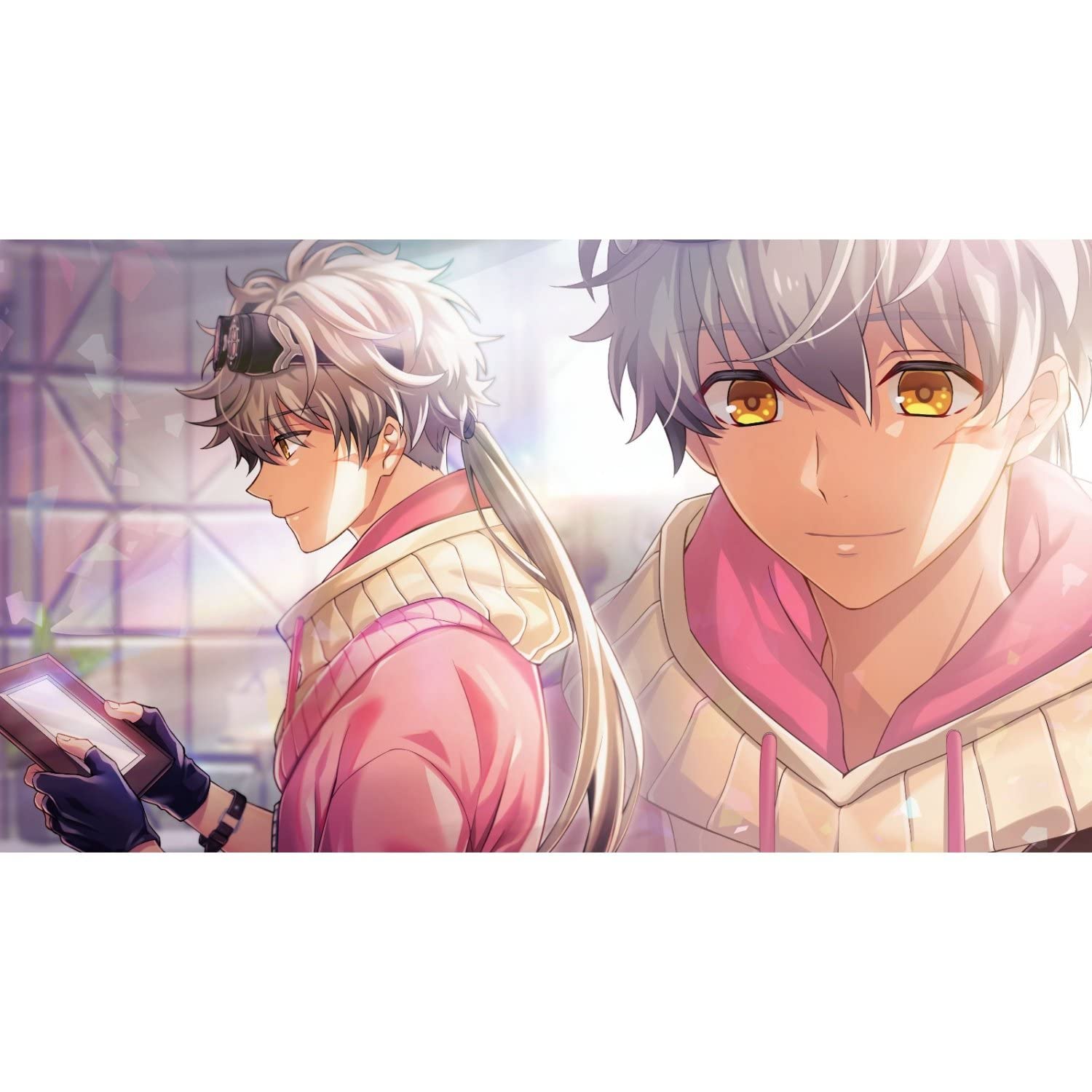 Amazon.co.jp: アンジェリーク ルミナライズ トレジャーBOX : Video Games