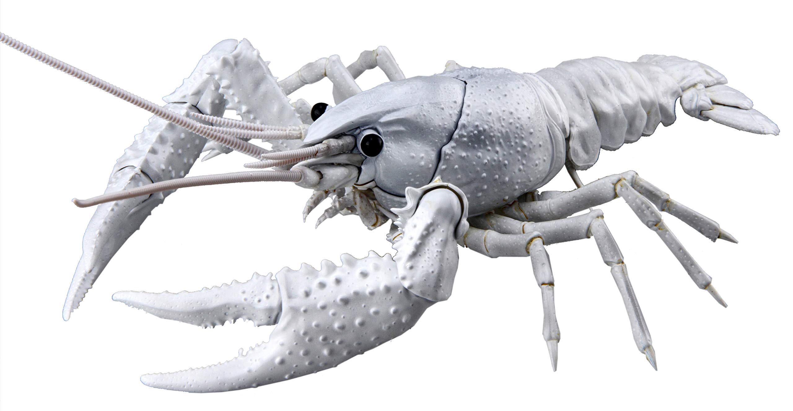 ザリガニ24様 Amazon | フジミ模型 自由研究シリーズ No.24 EX-2