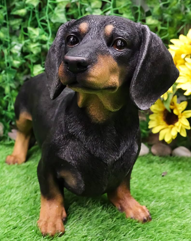 Amazon.co.jp: Ebros 愛らしい 大型 本物そっくり 黒と黄褐色 ダックス