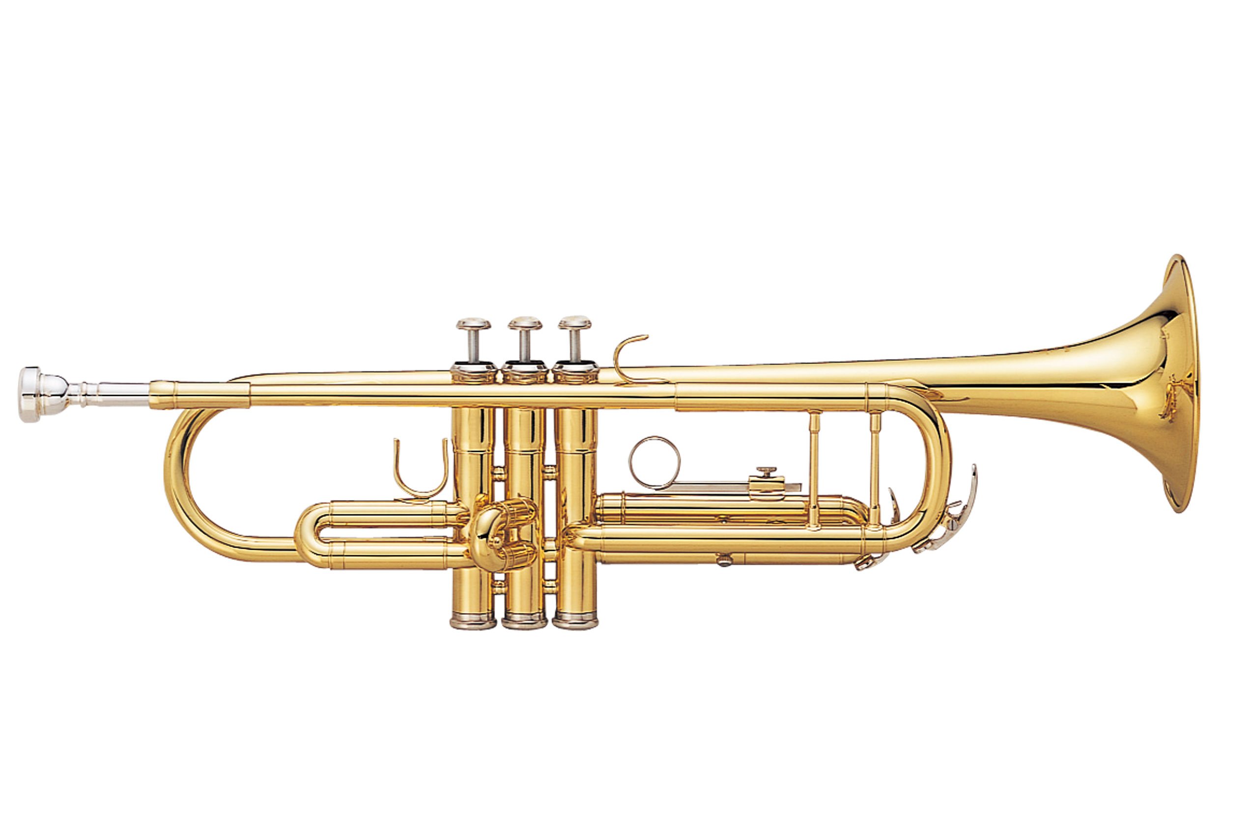 Amazon.co.jp: MAXTONE トランペット B♭管 ゴールドラッカー 仕上げ