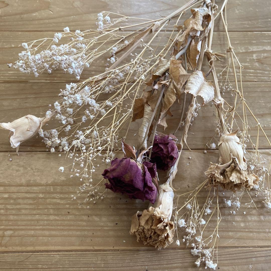 biidoro.0708様◇【ドライフラワー】かすみ草の蕾 着色（824） biidoro