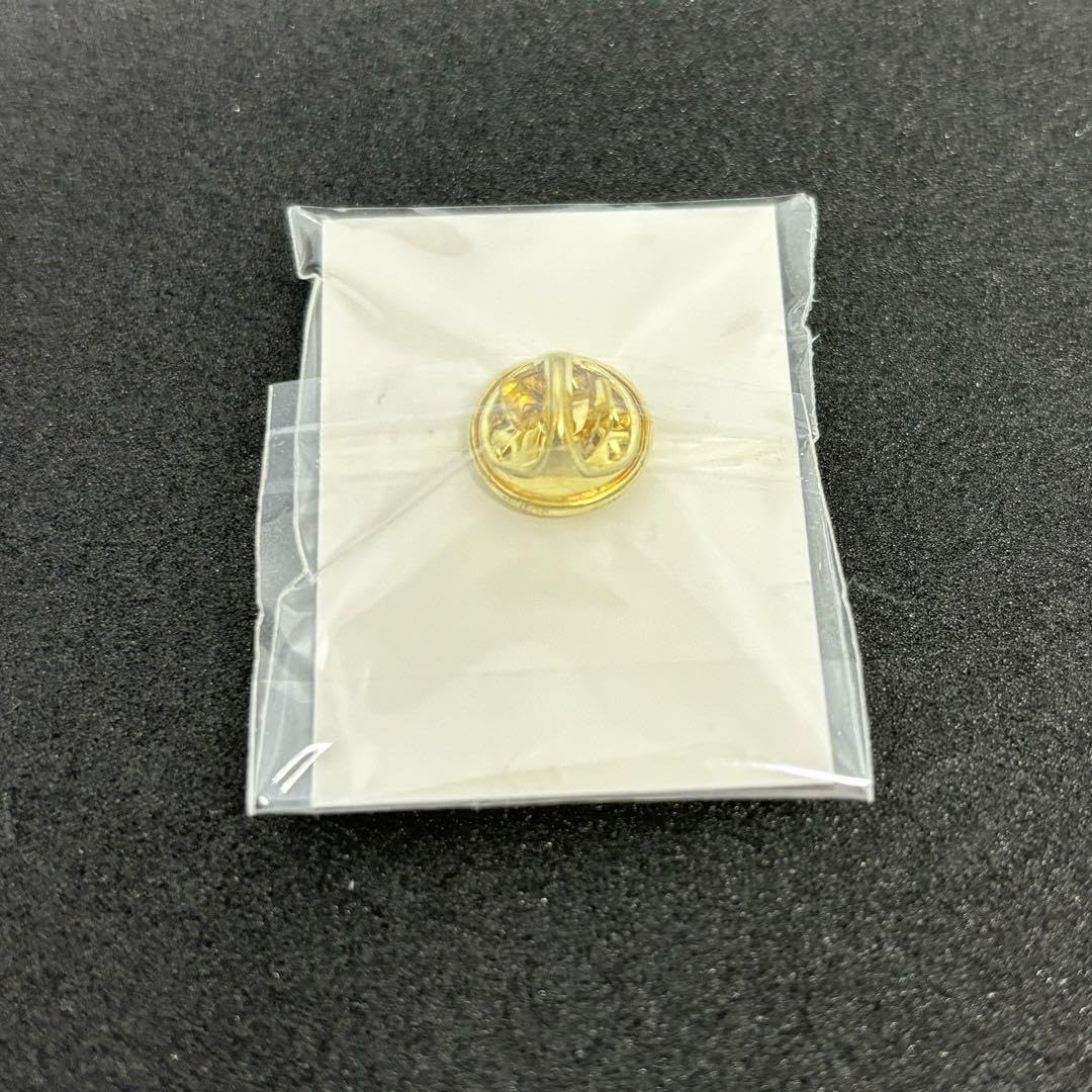 Amazon.co.jp: 乃木坂46 ロゴ エンブレム ピンバッジ ホビーグッズ