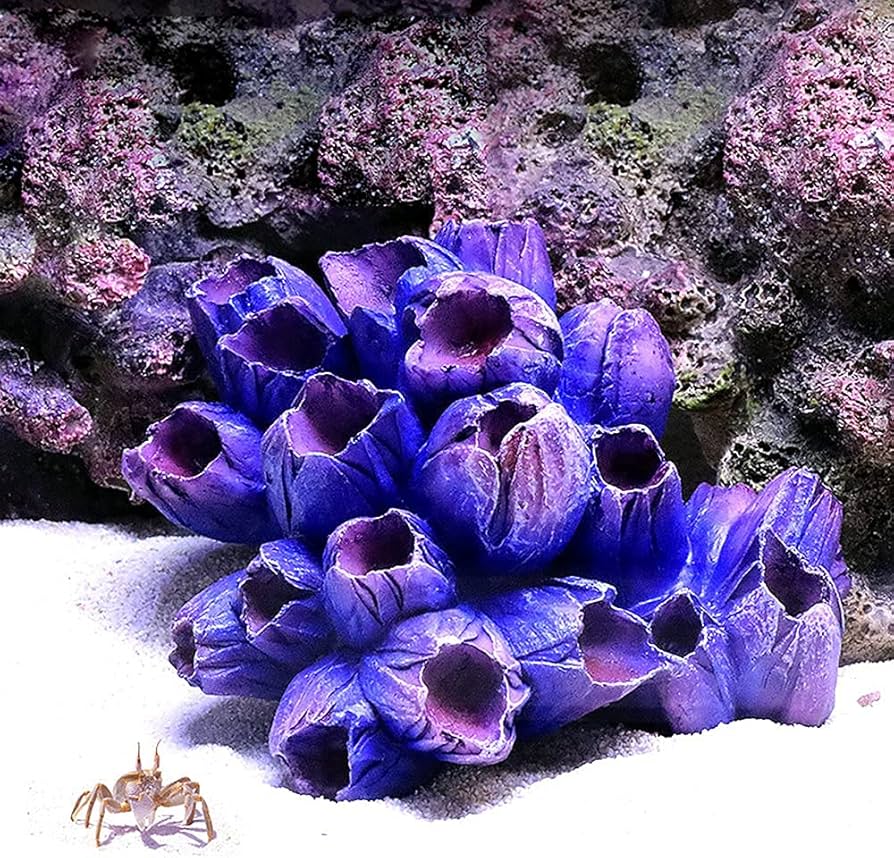 Amazon | 人工水槽の芽 偽のサンゴ礁 人工珊瑚 サンゴ 水槽 コーラル