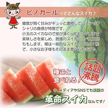 Amazon.co.jp: [訳あり] B-TOPAZ スイカ ピノガール 小玉スイカ 2025