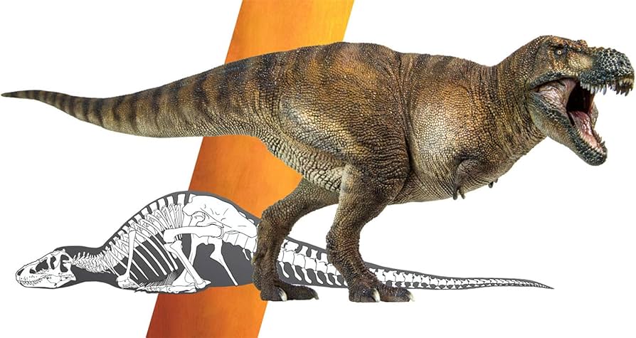 Amazon.co.jp: PNSO 恐竜博物館 1/35 サイズ ティラノサウルス リアル