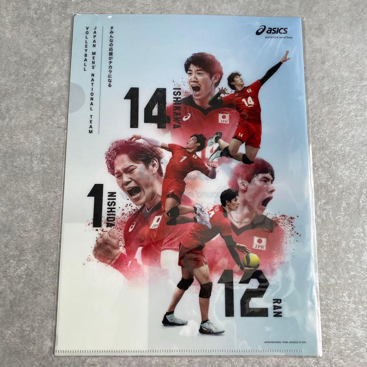 全日本男子・女子バレー選手直筆サイン入クリアファイル □全日本女子