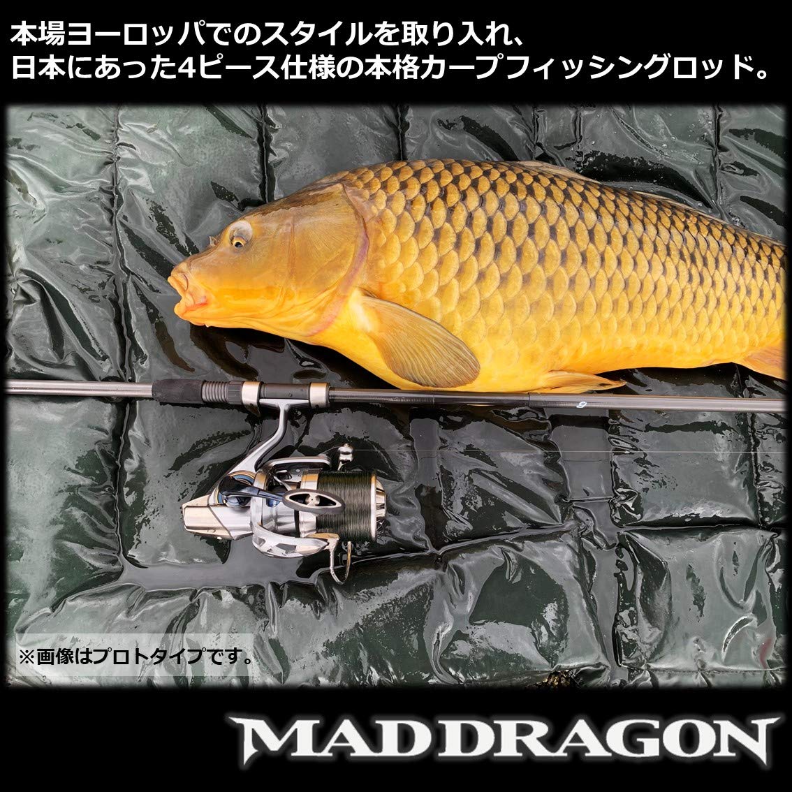 Amazon | ダイワ(DAIWA) 21 マッドドラゴン LIGHT-304 | ダイワ(DAIWA