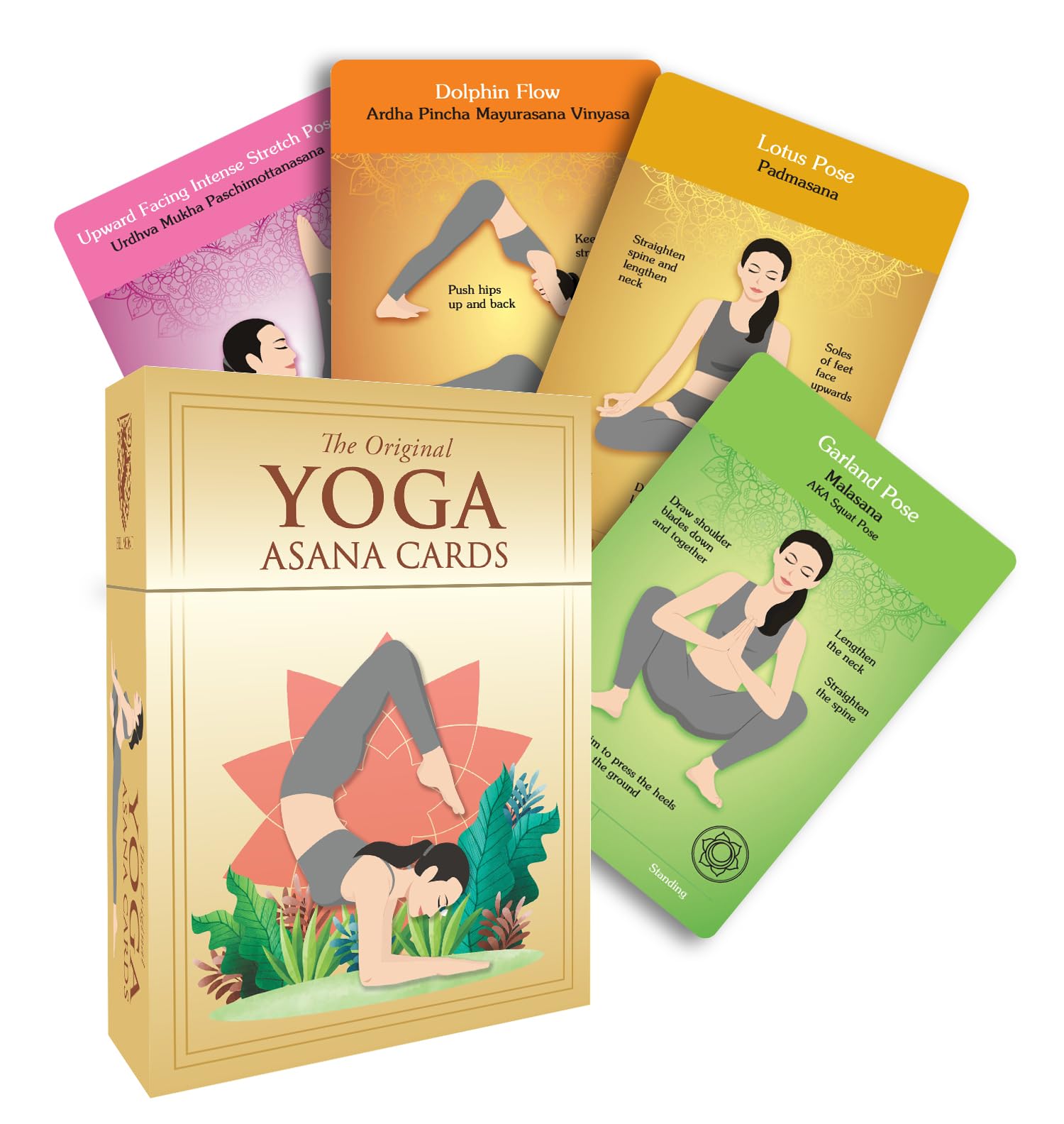 Amazon.com: The Original Yoga Asana Cards - Workout Deck With Over