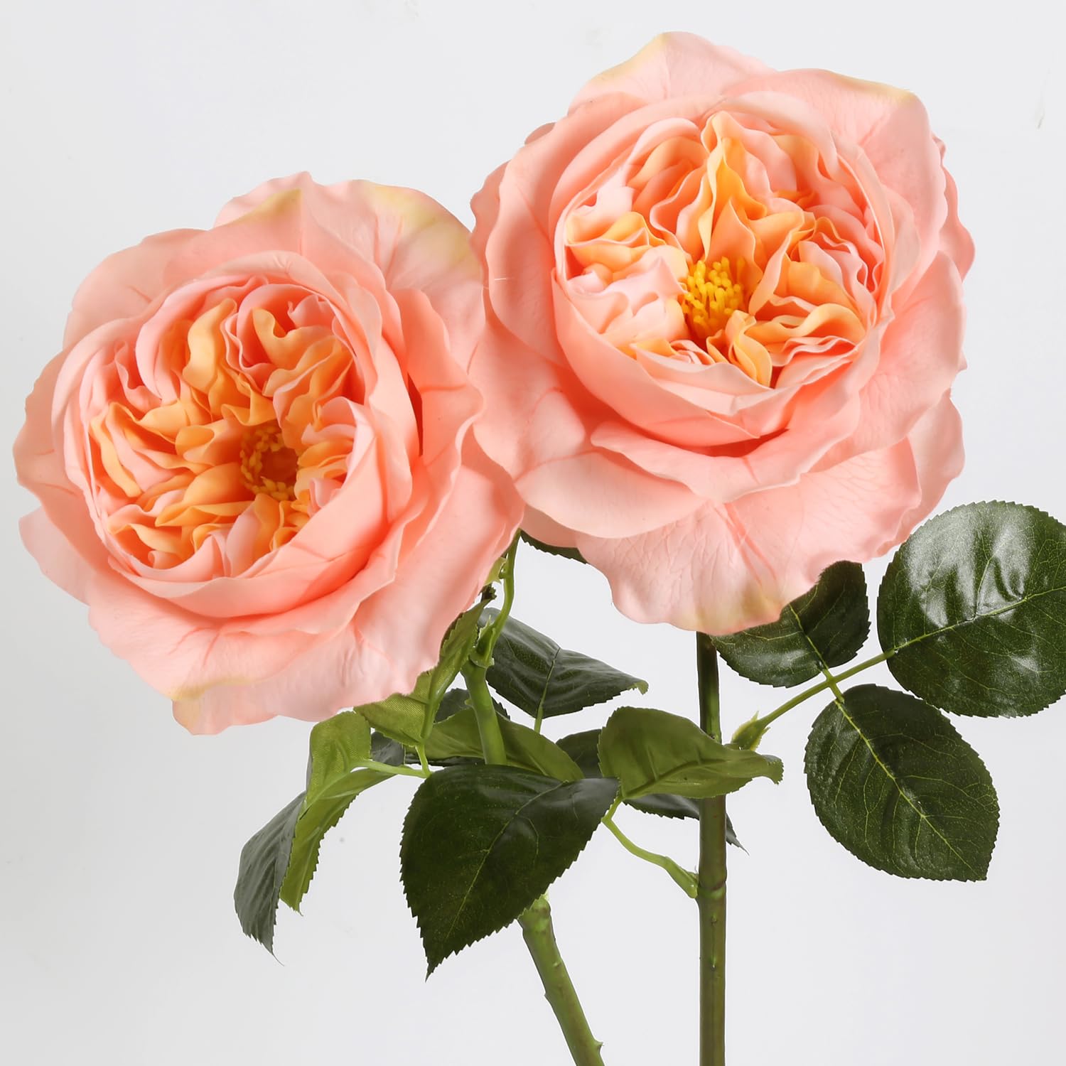 Amazon.com: Fqueelvys 2Pcs Fake Austin Rose Peonies Flowers Real