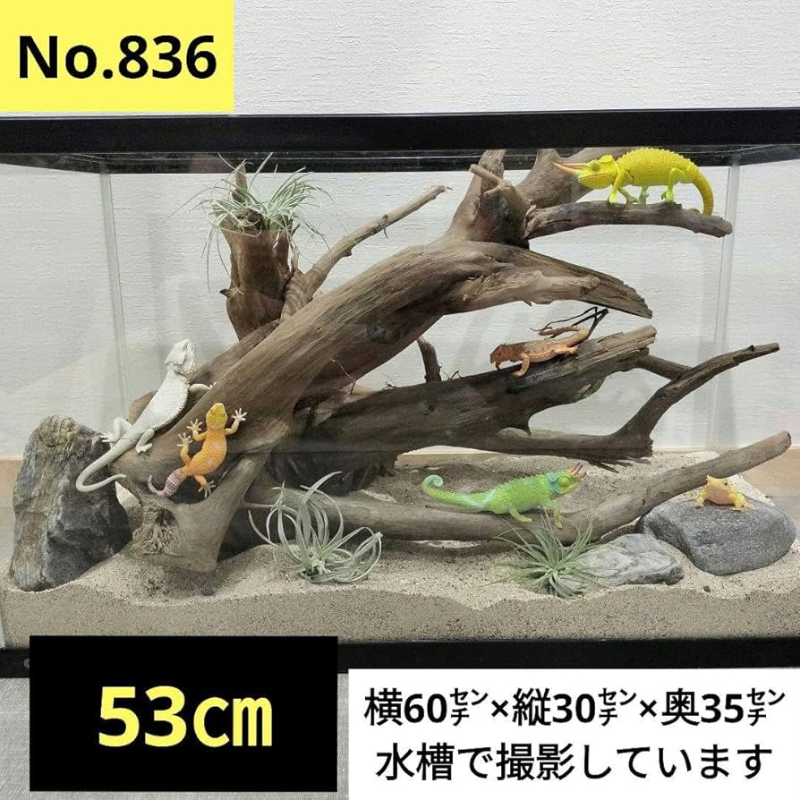 Amazon.co.jp: No.836大型流木 爬虫類レイアウトインテリア置物エアー