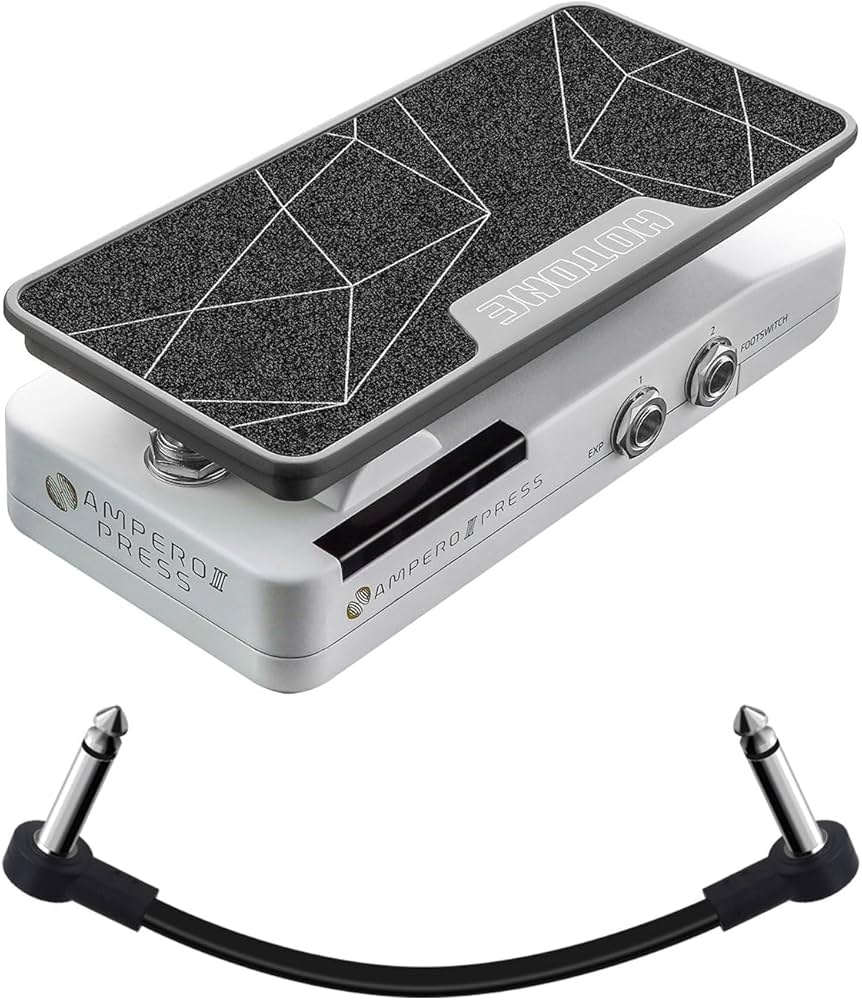 Amazon.com: HOTONE 2 in 1 Passive Expression Footswitch EXP Pedal
