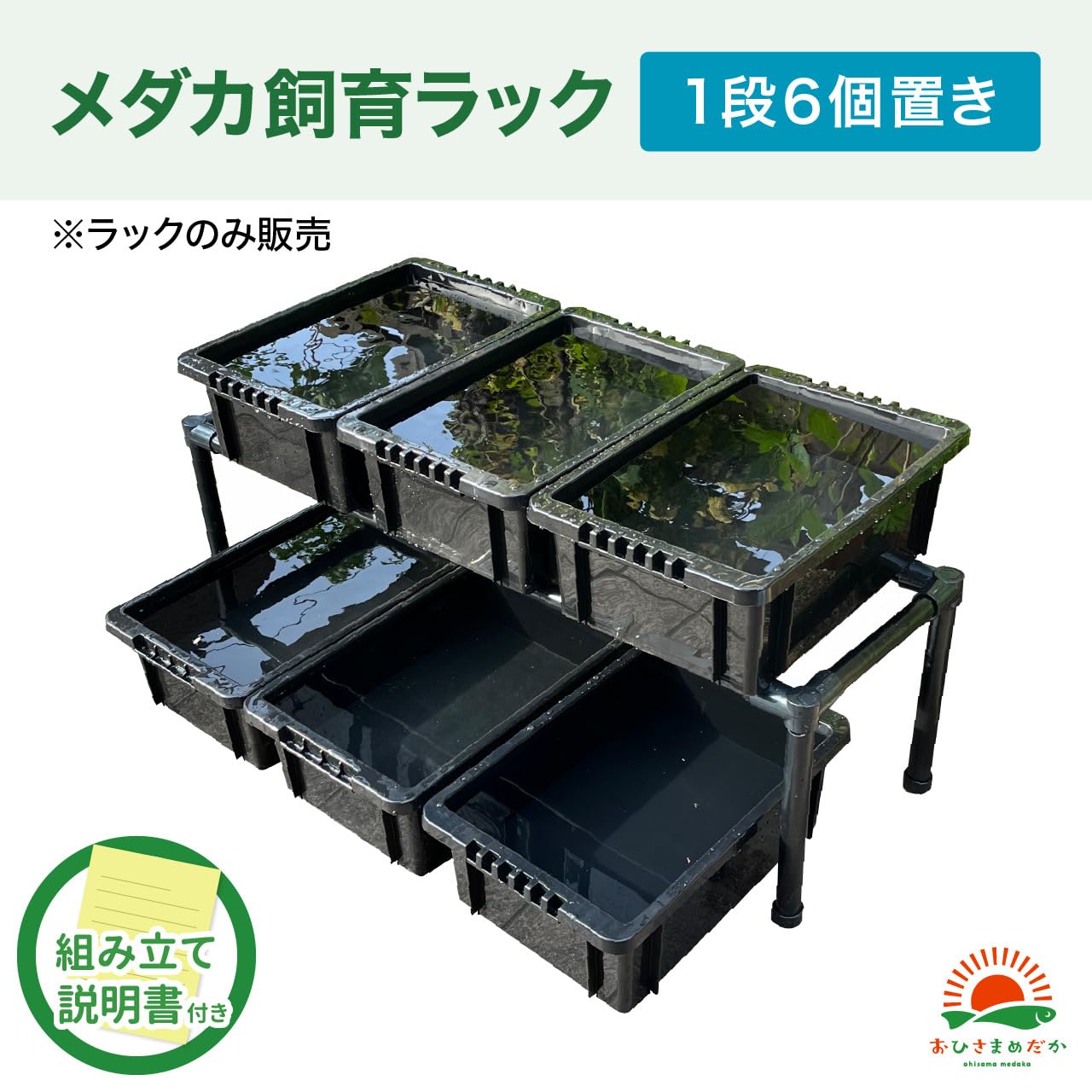 Amazon | おひさまめだか メダカ飼育ラック (黒, 1段6個置き
