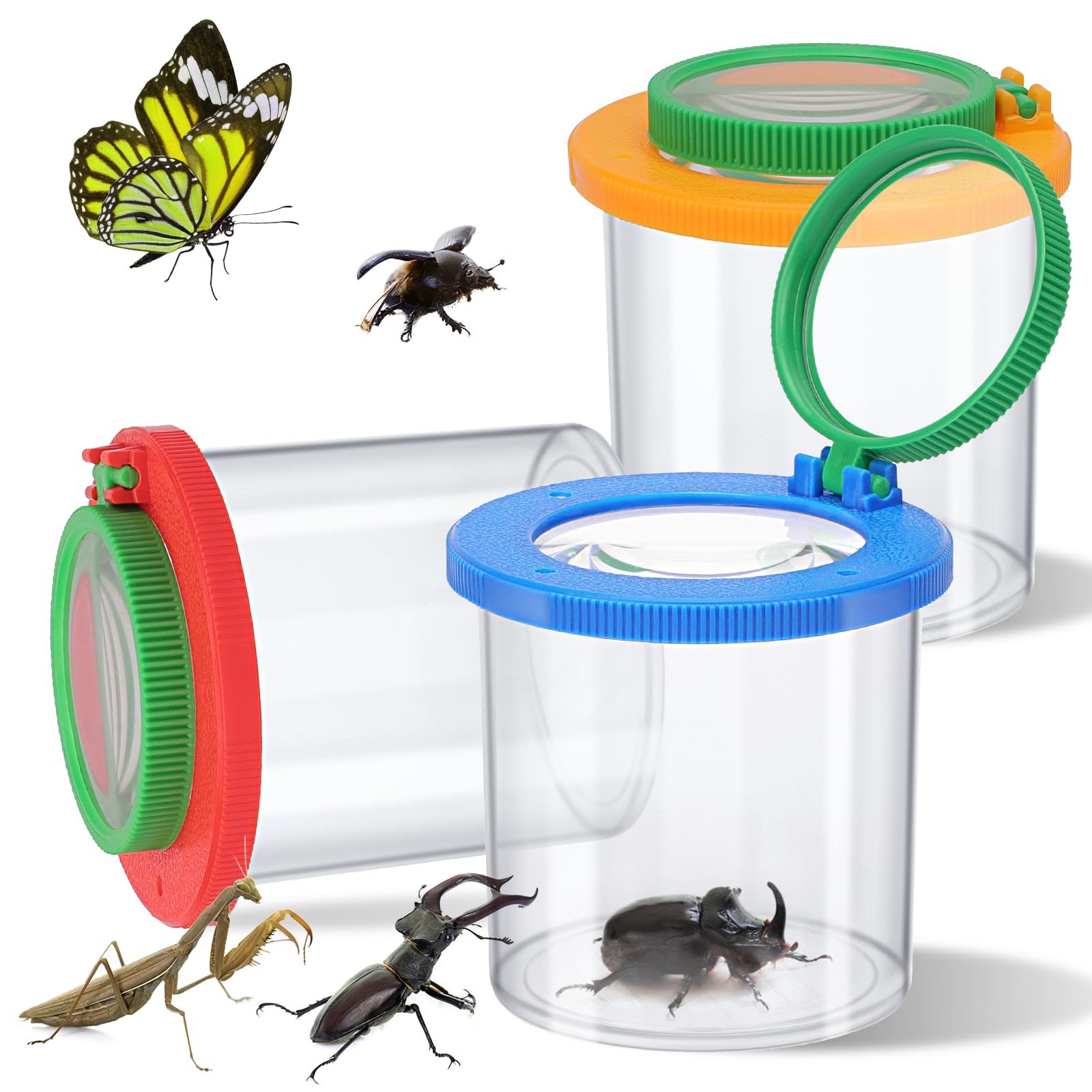 Amazon.com: Coopay 3 Pieces Magnifying Insect Box - Bug Viewer
