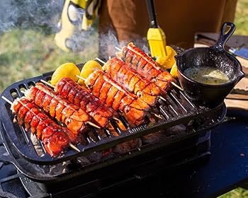 Amazon.com: Lodge Cast Iron Sportsman's Pro Grill : Patio, Lawn