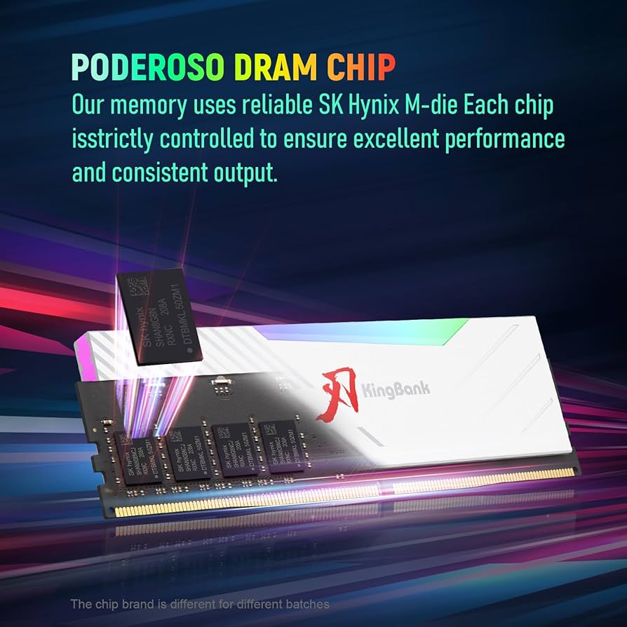 Amazon.co.jp: KingBank RGBコンピューターデスクトップメモリRAM DDR5