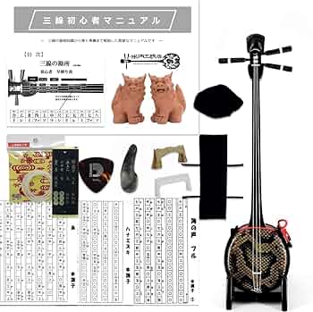 71p54HxYxGL._AC_UF350,