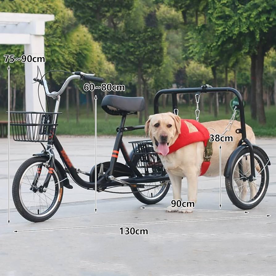Amazon.co.jp: 大型三輪自転車、犬の散歩付きクルーザー自転車