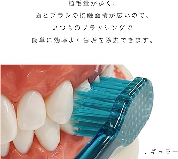 Amazon.co.jp: エビス ゼロプレミアムケア・リッチレギュラー ふつう 3