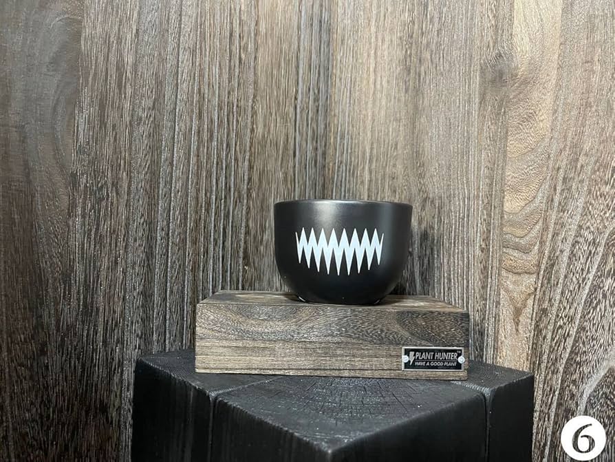 Amazon.co.jp: ⑥少量入荷 PLANT HUNTER 植物ハンター オリジナル 陶器