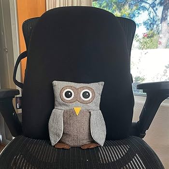 Amazon.co.jp: Lily's Home かわいい装飾フクロウ 重みインテリア ドア