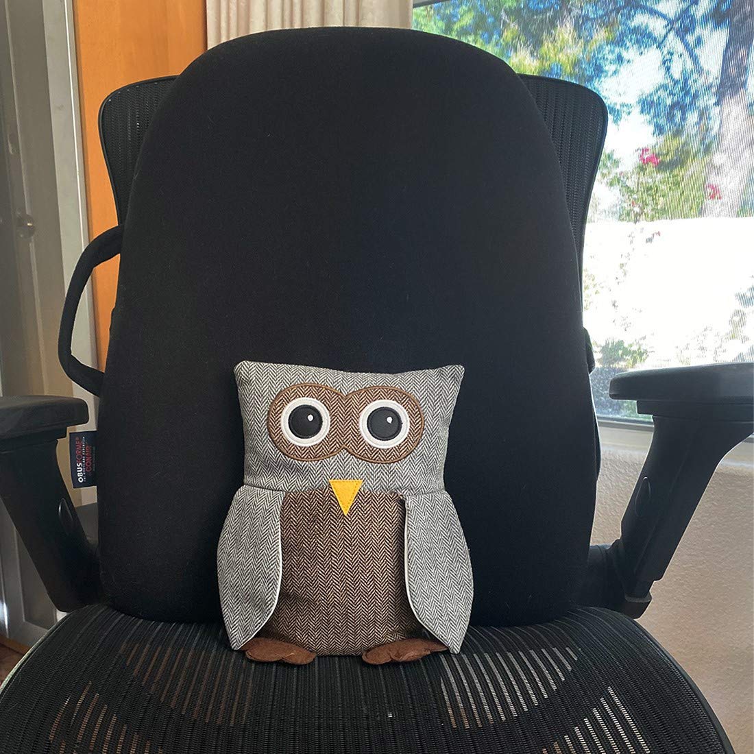 Amazon.co.jp: Lily's Home かわいい装飾フクロウ 重みインテリア ドア