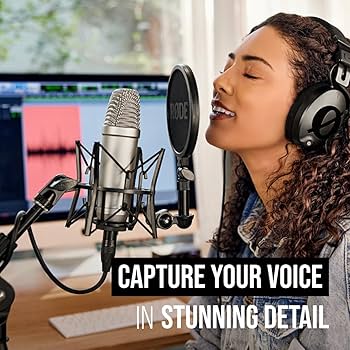 Rode NT1A Cardioid Condenser Microphone : Rode: Amazon.ca: Musical