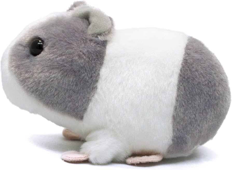 Amazon.co.jp: AQUA ぬいぐるみ ファーム もちもち もるもっと グレー