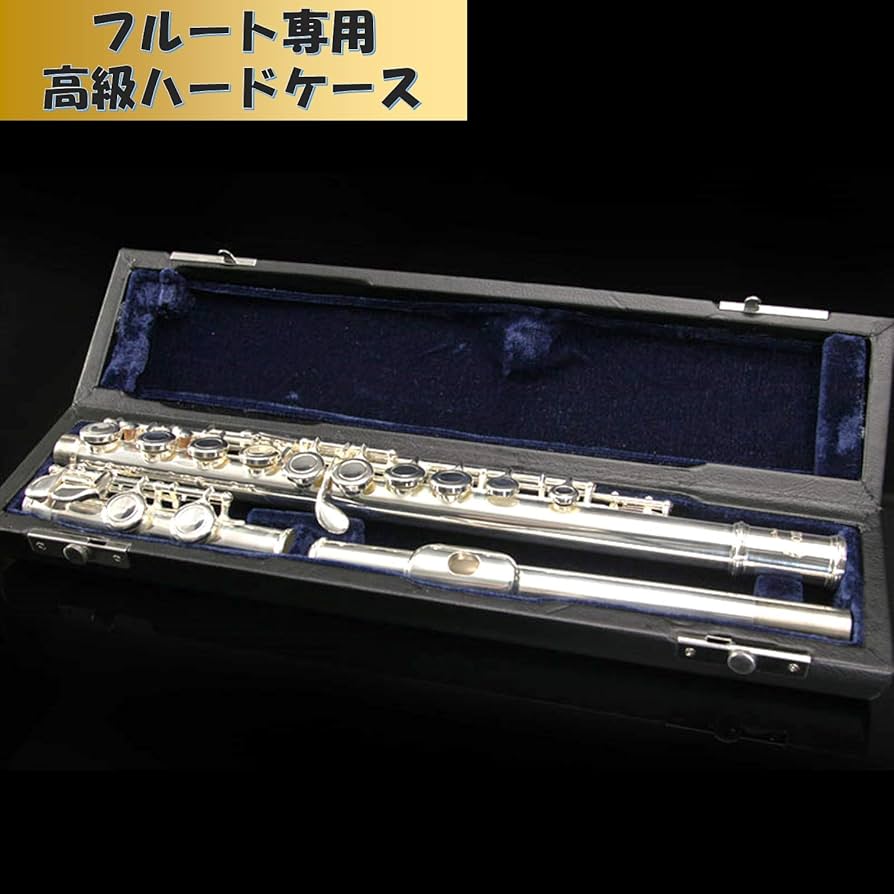 Amazon | EXDUCT フルートケース 16穴用 フルート ケース 楽器 ハード