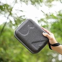 Amazon.com : Carrying Case Bag for Insta360 Flow/Flow Pro, Gimbal
