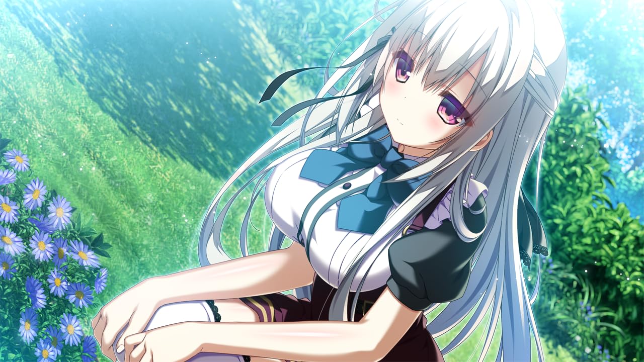 Amazon.co.jp: その日の獣には、+罪ノ光ランデヴーセット -Switch