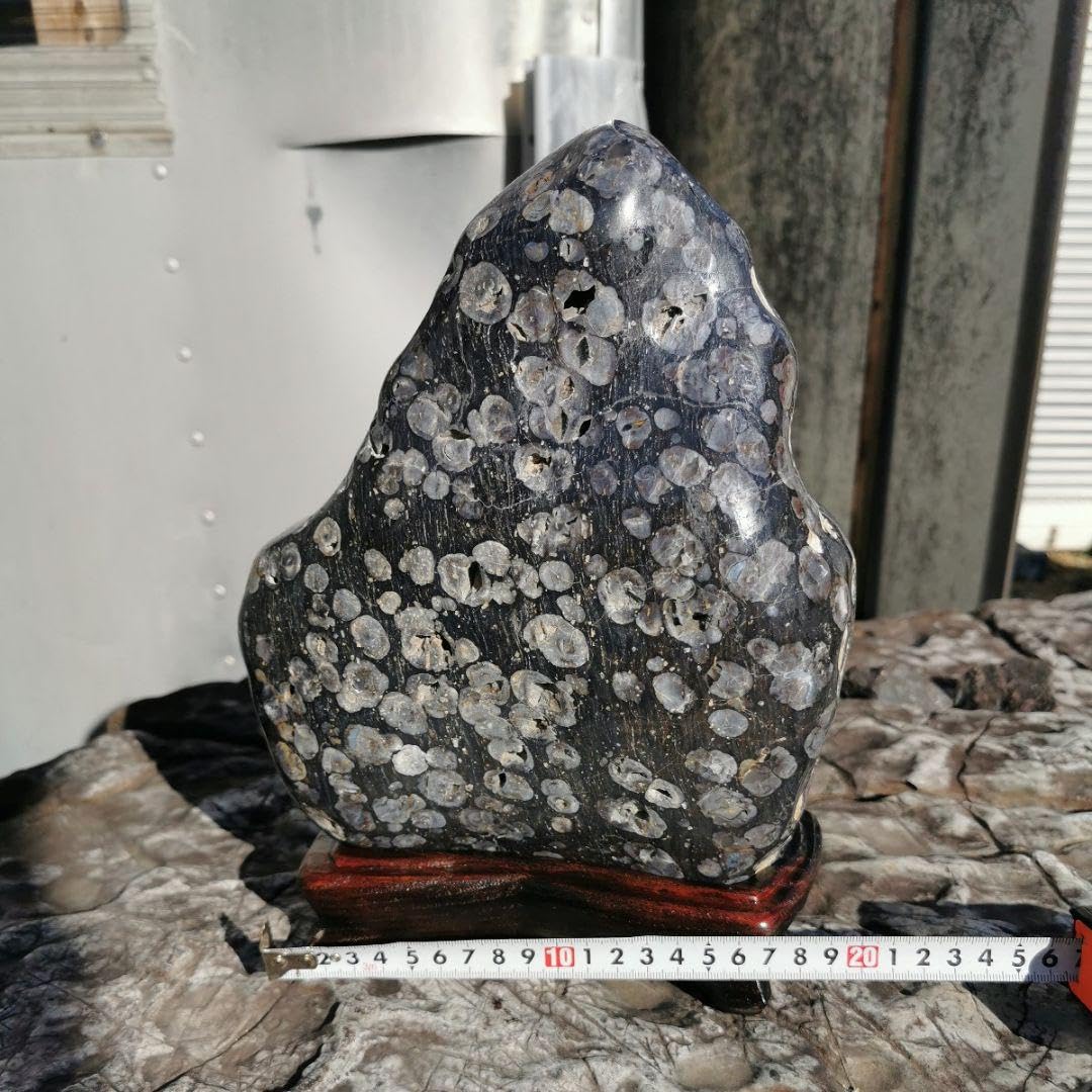 Amazon.co.jp: 東北産 梅花石 6.7キロ 鑑賞石 石 置物 オブジェ