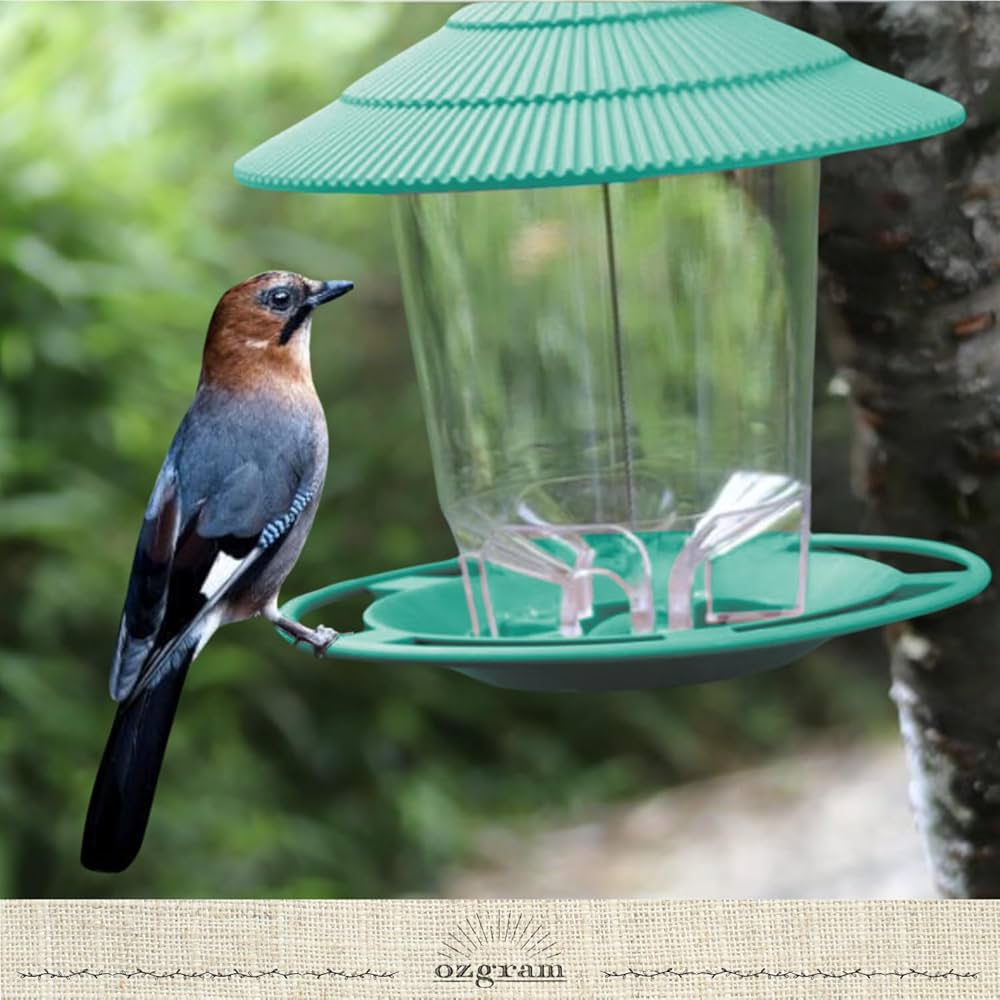 Amazon.co.jp: ozgram バードフィーダー 【丸型ルーフ】 【グレー