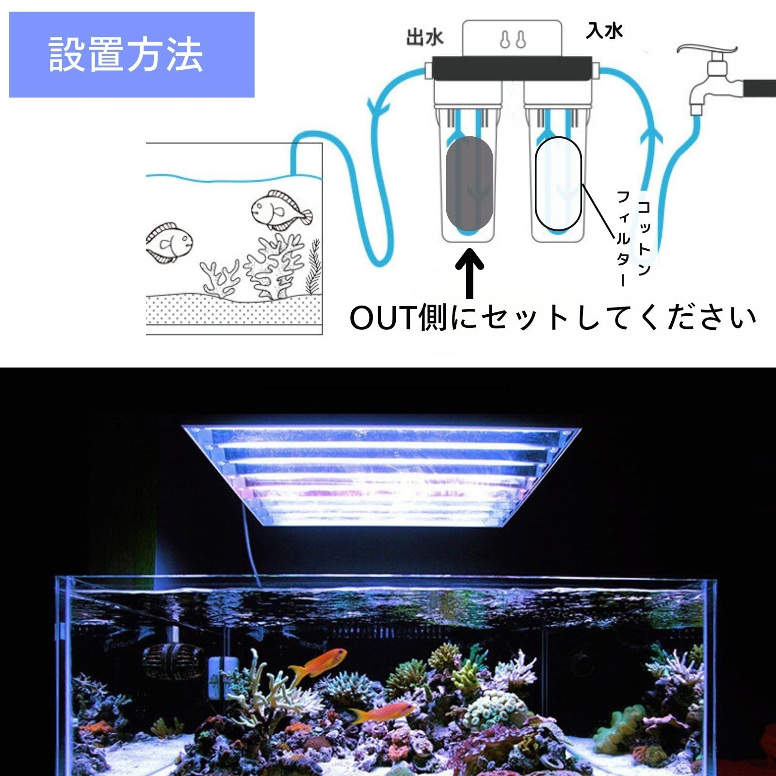 Amazon.co.jp: フィルター カーボン カートリッジ アクアリウム カルキ