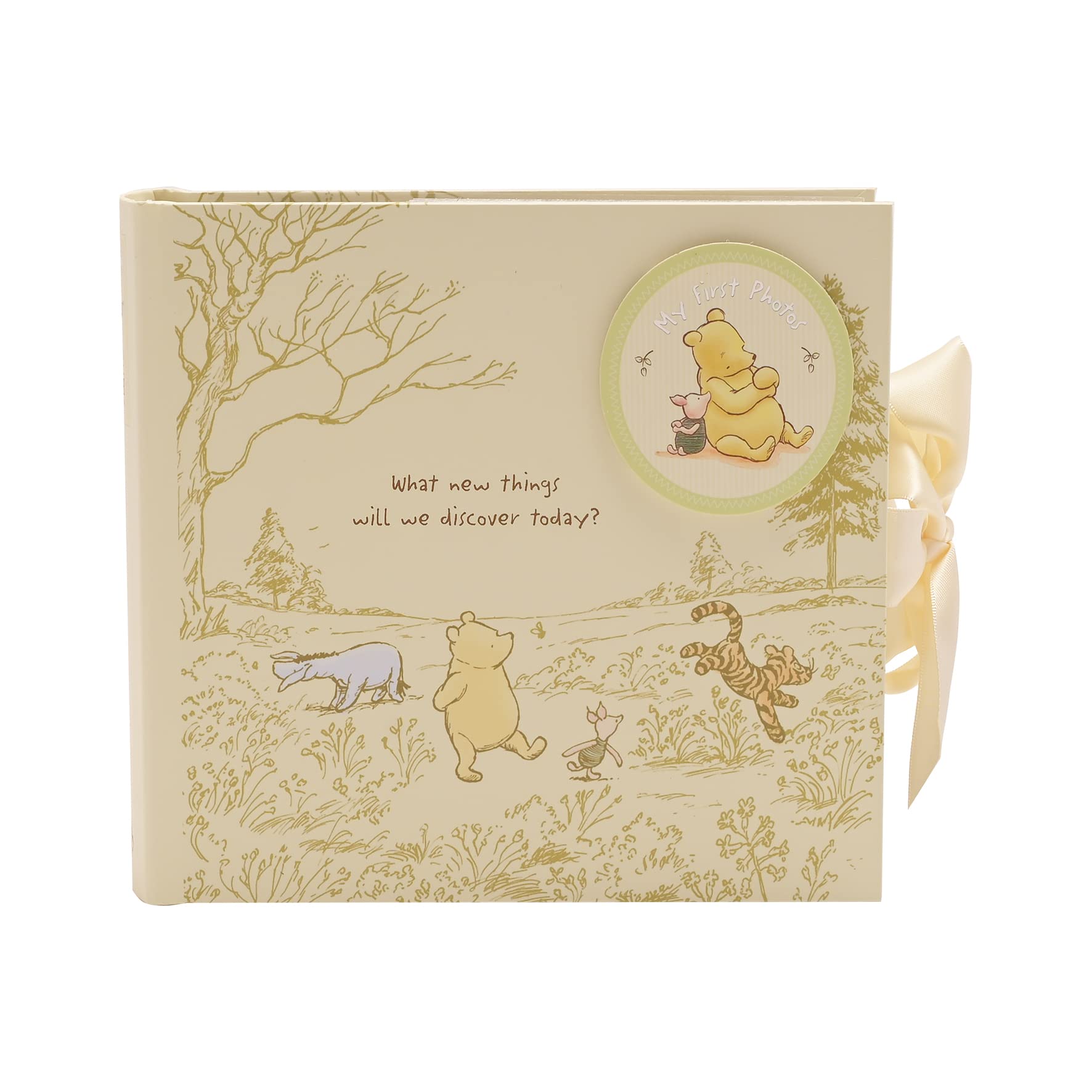 Amazon.com: Happy Homewares Winnie The Pooh Album with Images of