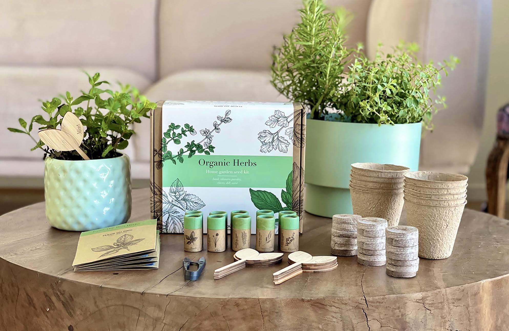 Amazon.com : FLEUR DU BIEN Indoor Herb Garden Starter Kit, 10