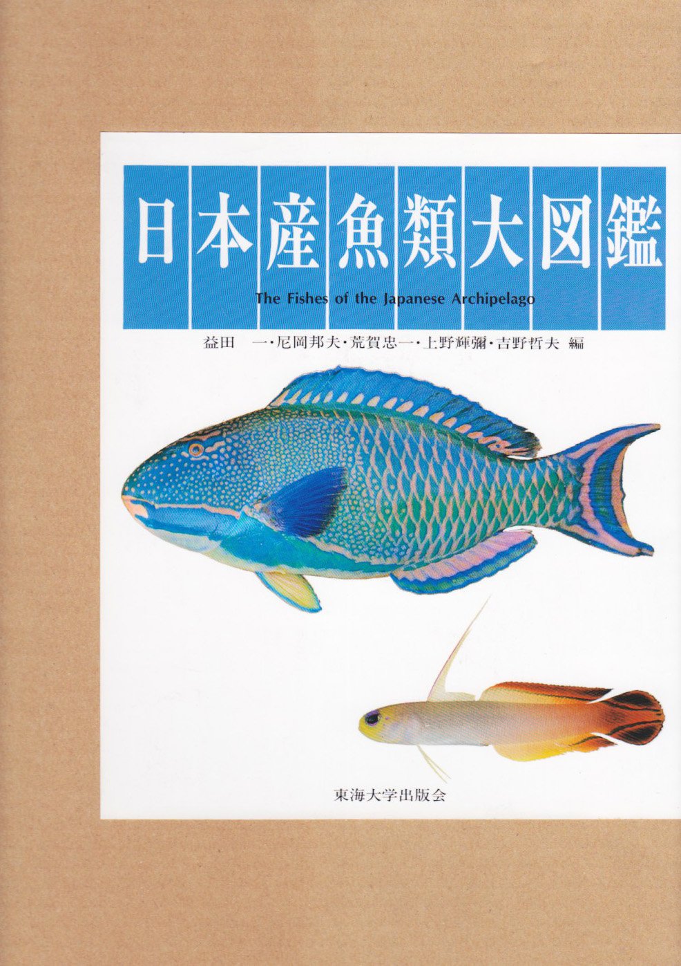 日本産魚類大図鑑 図版 |本 | 通販 | Amazon