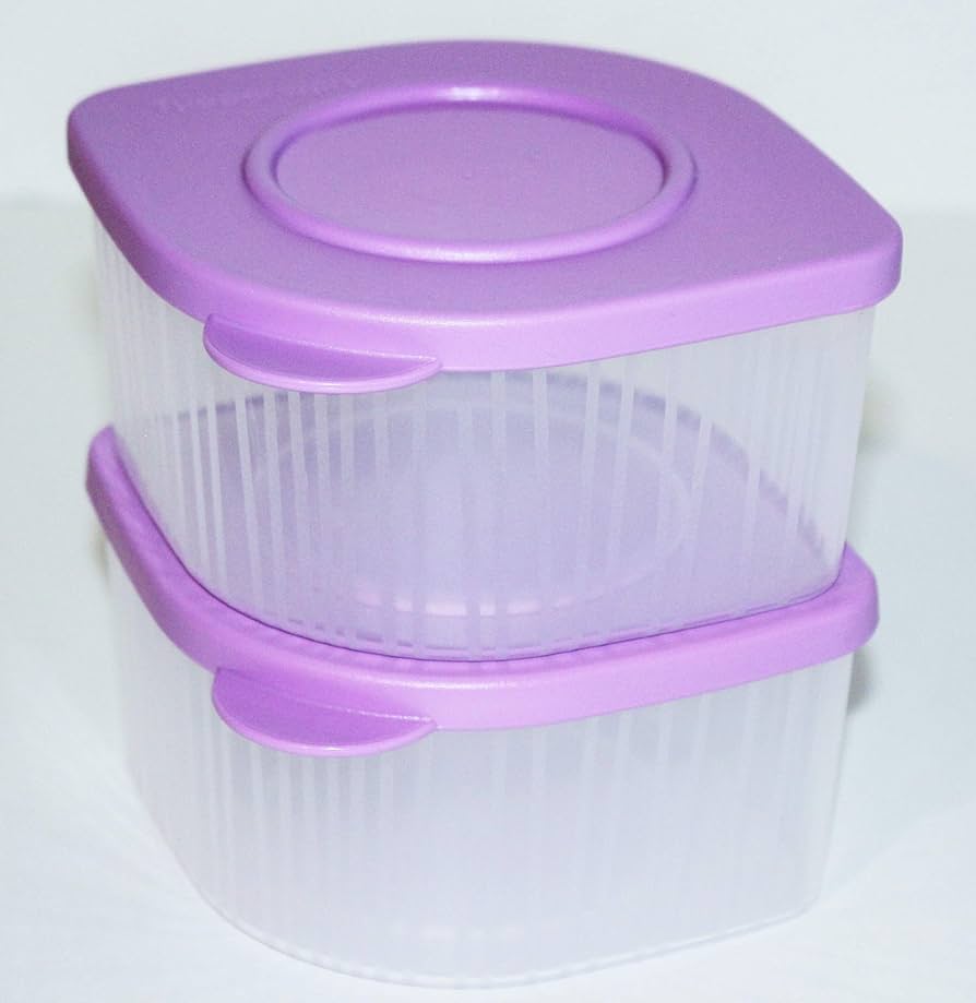 Amazon.com: Tupperware Fresh N Cool 2 Cup Set of 2 in Sheer and