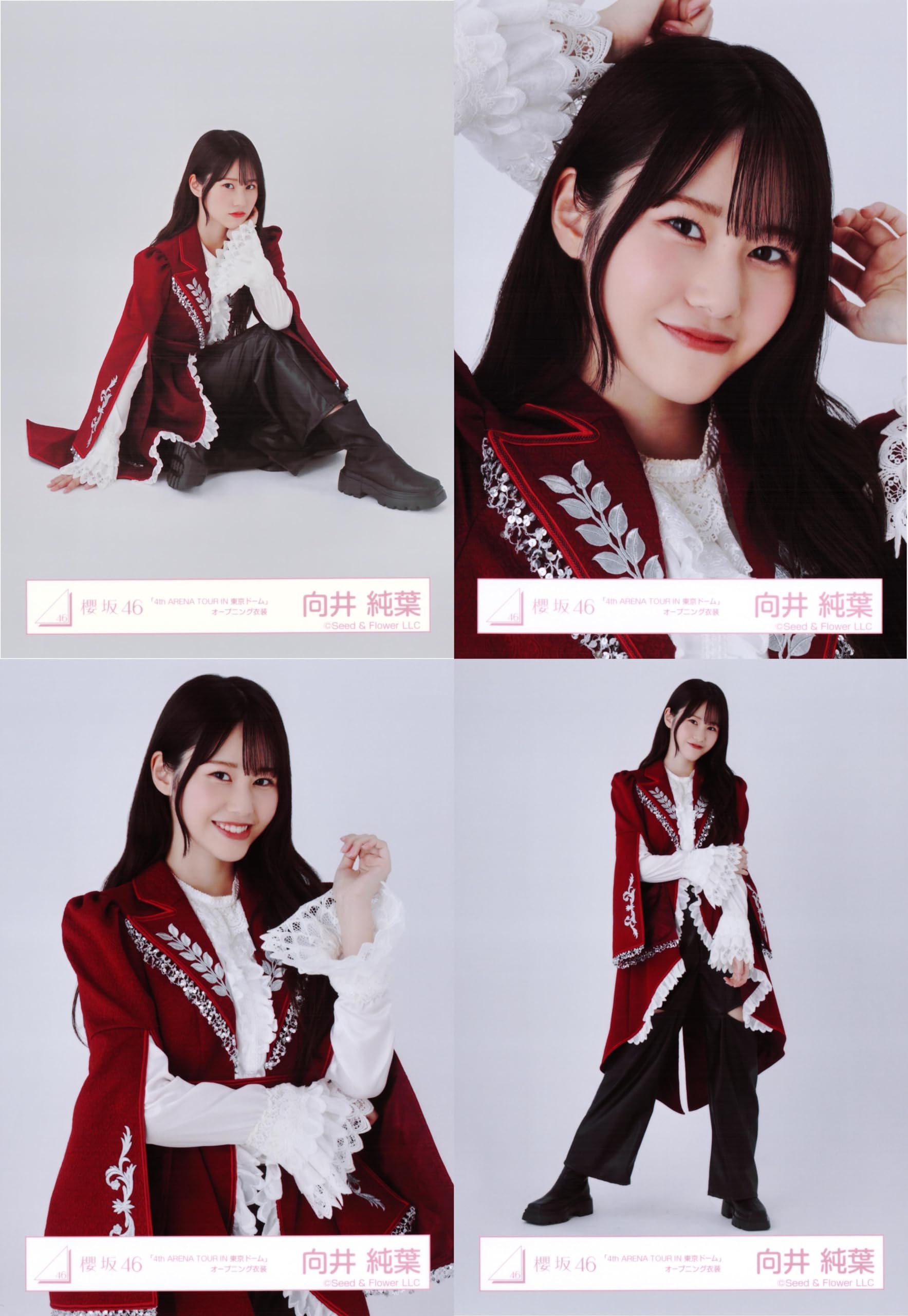 櫻坂46 向井純葉 生写真 東京ドーム スペシャルプレゼント