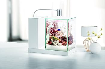 Amazon | ジェックス AQUA-U | GEX | 飼育セット 通販