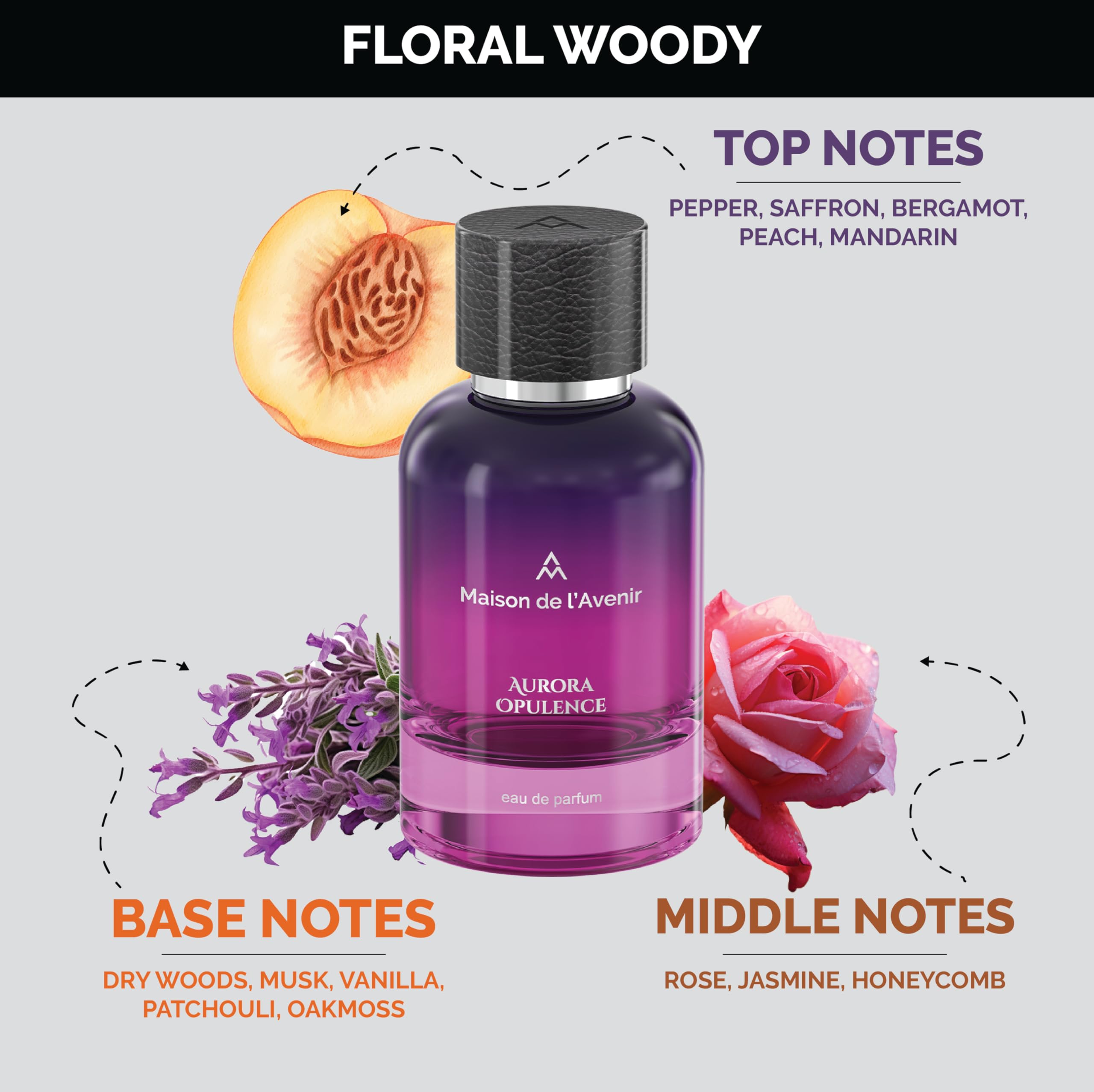 Amazon.com : Maison de l'Avenir Aurora Opulence – ZENITH