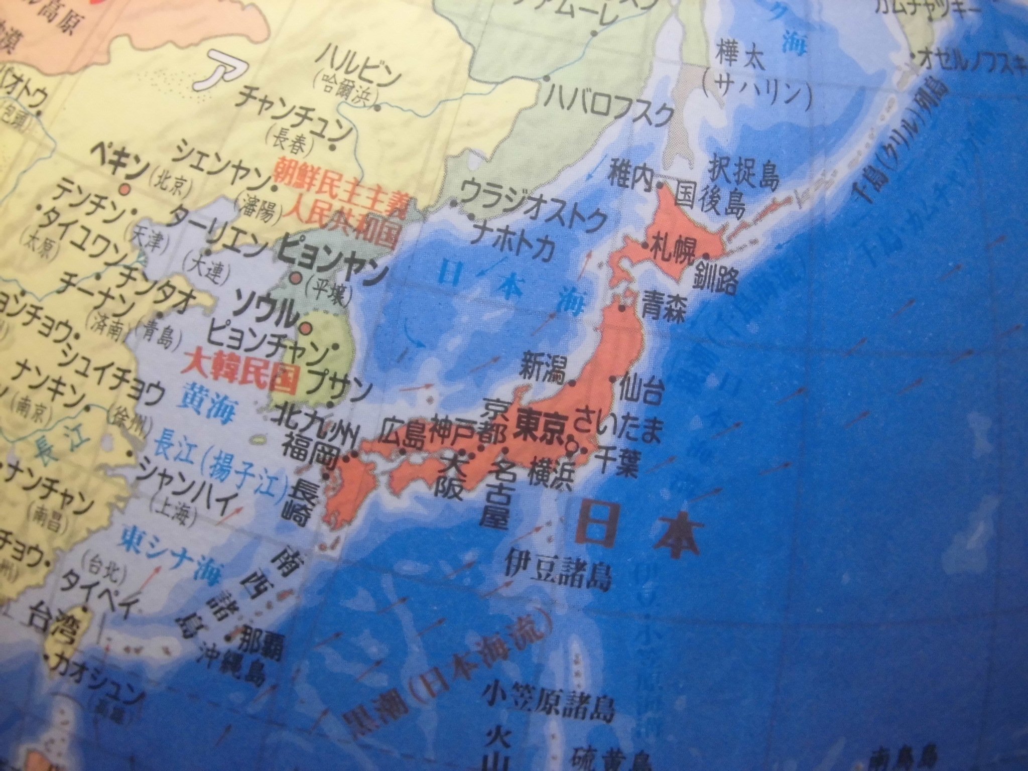 Amazon.co.jp: 昭和カートン 地球儀 球径26cm 26-GF 行政図タイプ 日本